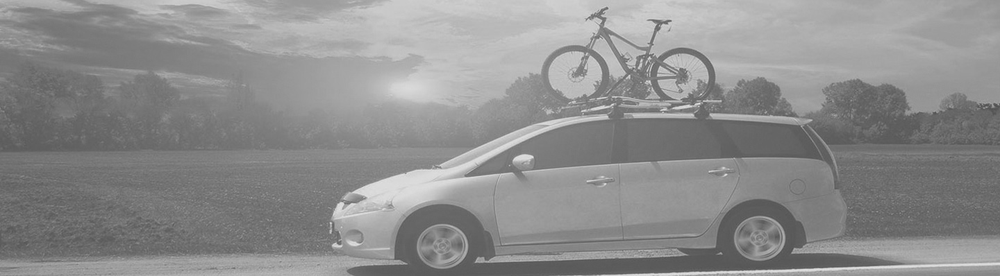 Minnesota Auto owners with Auto Insurance Coverage